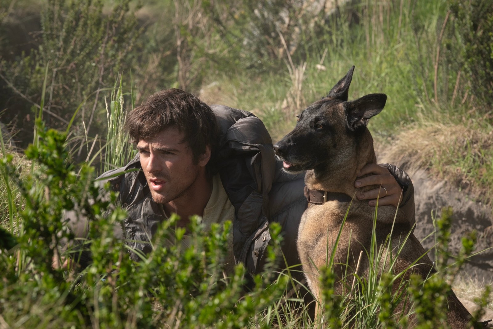 Film backdrop for The Dog Stars