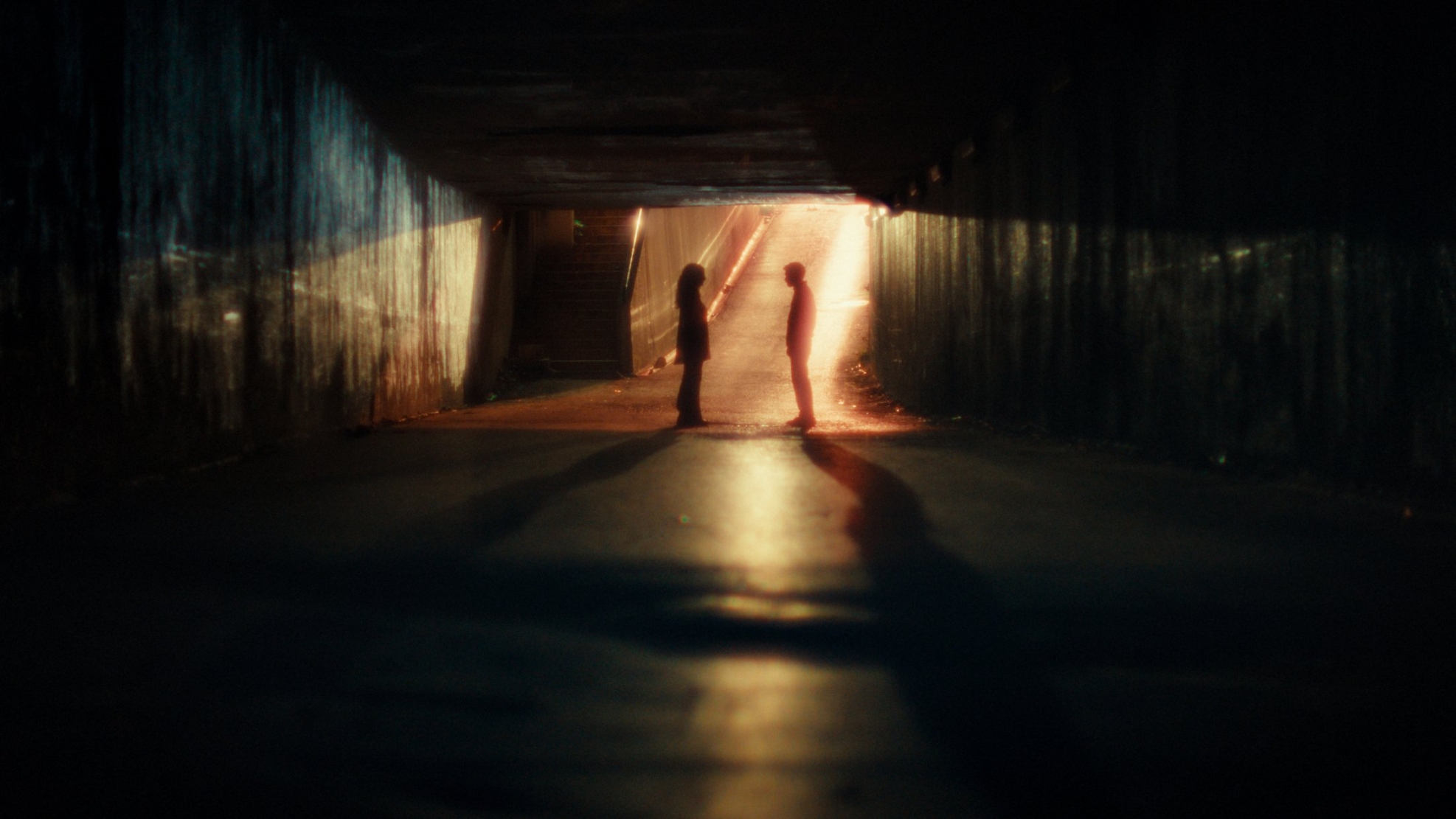 Film backdrop for De Andere Film: A Sad and Beautiful World