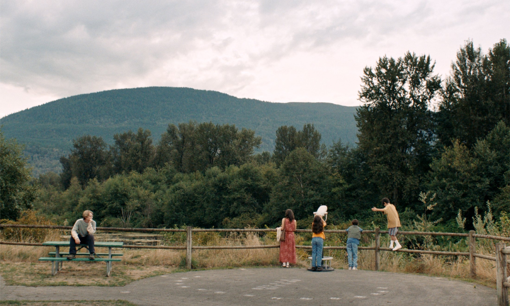 Film backdrop for Cinema Storck: Blue Heron