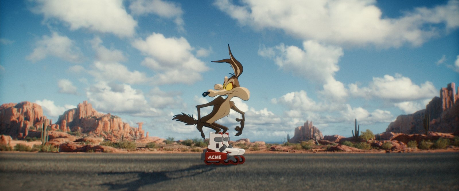 Film backdrop for Coyote vs Acme